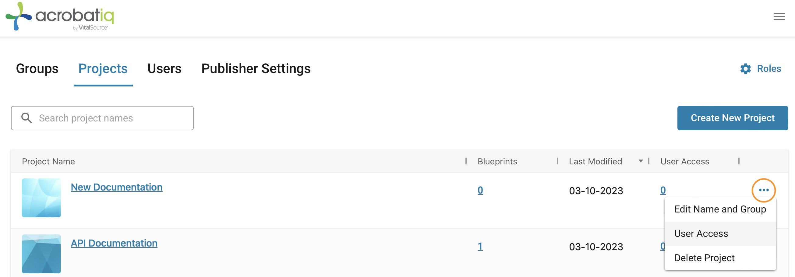 06_Customer_Admin-Projects-user-roles.png