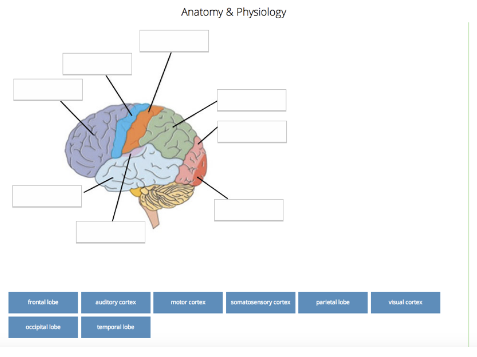 QuestionOverview_Development1.png