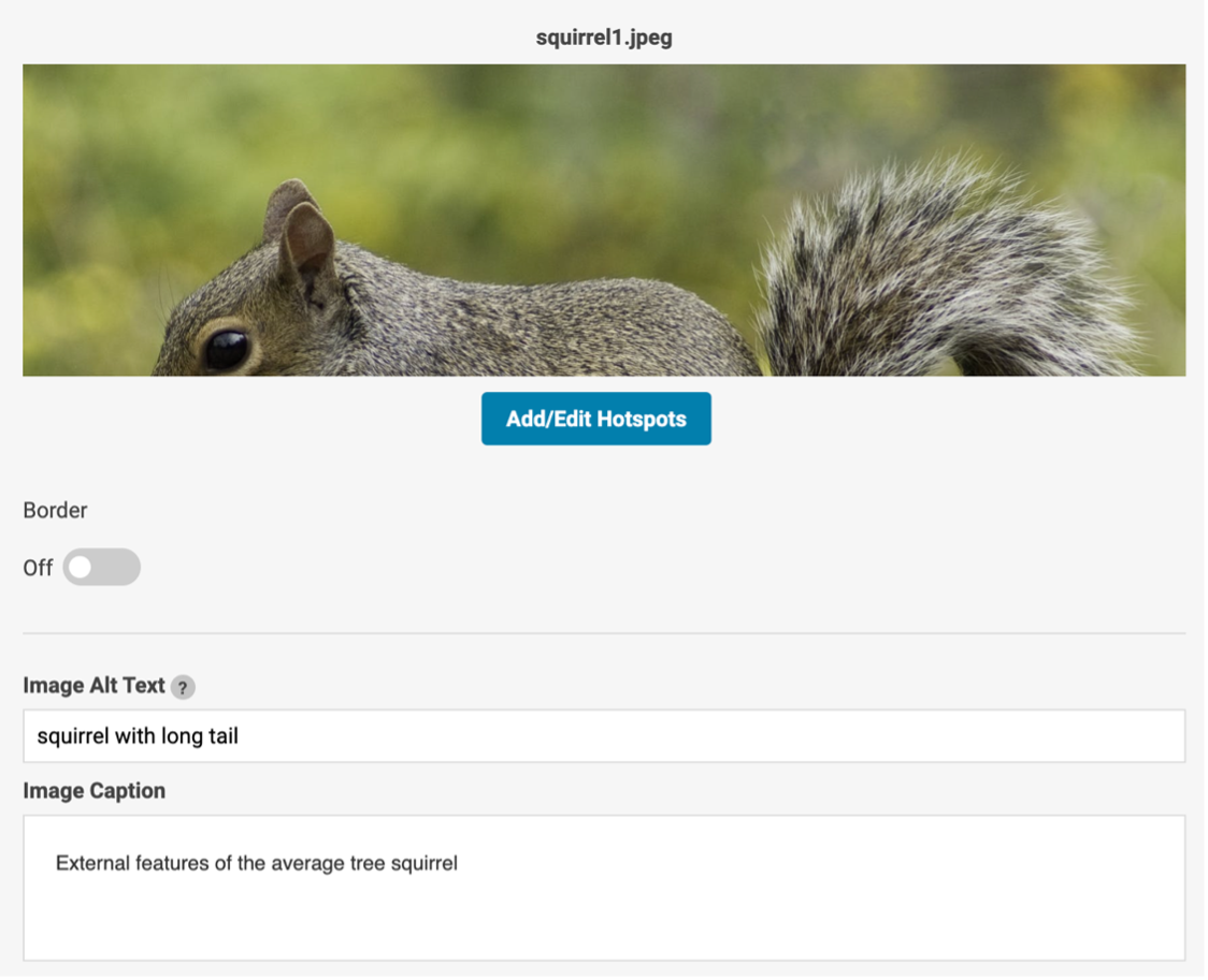 Image_Hotspot_3.png