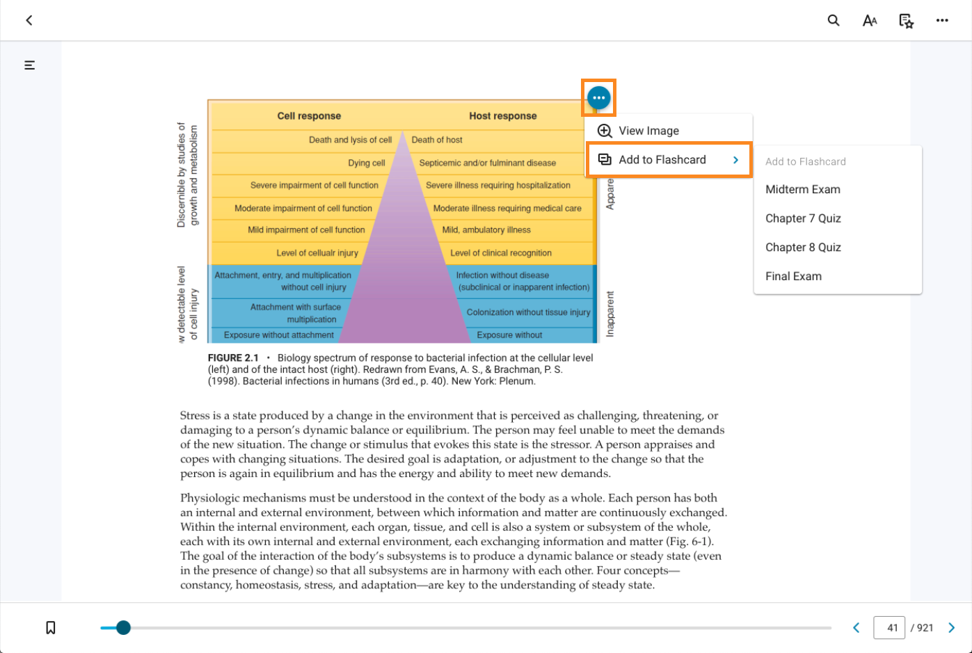 all_about_flashcards5.png