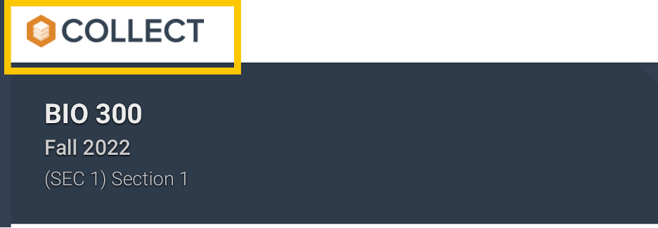 logotipo_de_la_tienda.png
