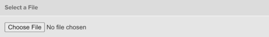 4 Select File.png